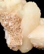 Peach Stilbite Crystal Cluster - India #44298-1